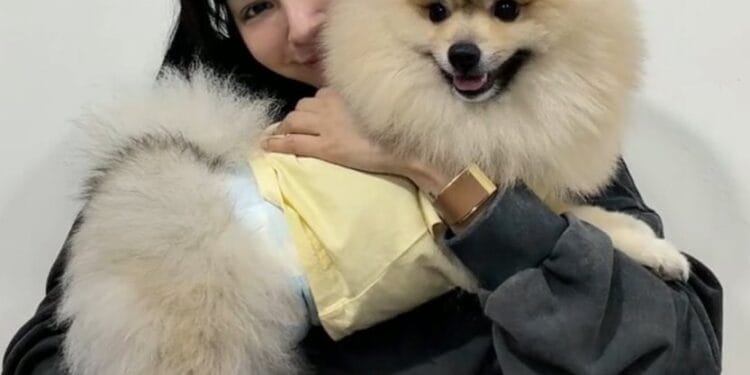 Faye Peraya Malisorn