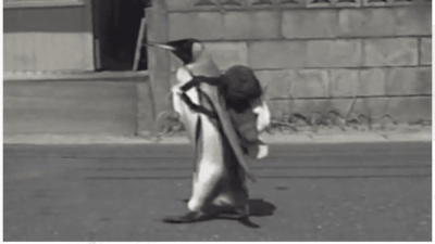 The PENGU