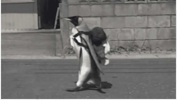 The PENGU