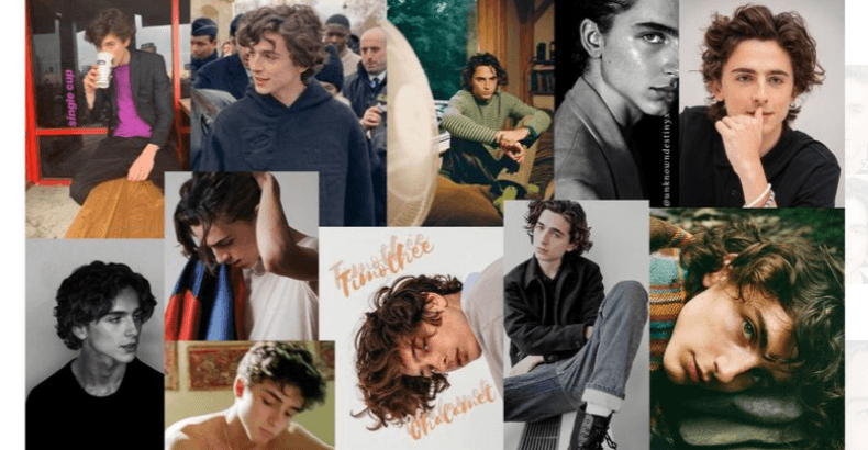 Timothée Chalamet