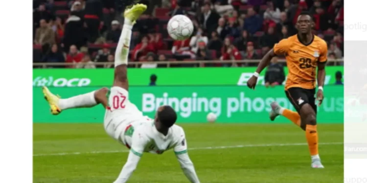 Zambian Fan's Drinking Excuse