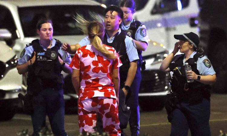 Bondi beach shooting australia photo