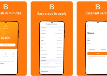 Bora credit business loans scam