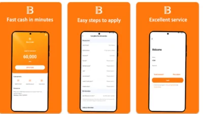 Bora credit business loans scam