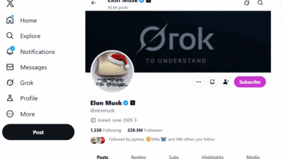 Elon musk x handle