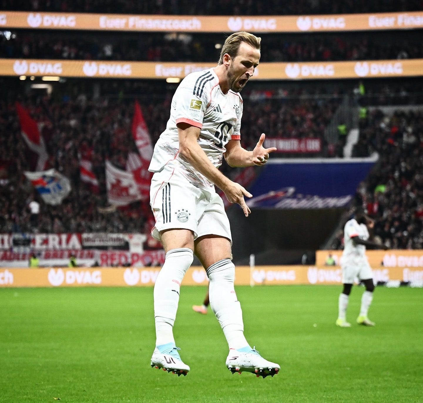 Harry kane photo