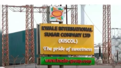 Kiscol kwale photo