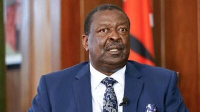 Musalia mudavadi photo