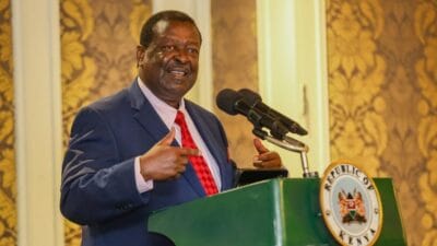 Musalia mudavadi photo on referendum