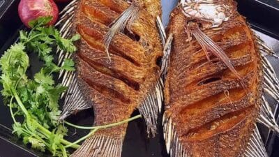 Nile perch fish kisumu