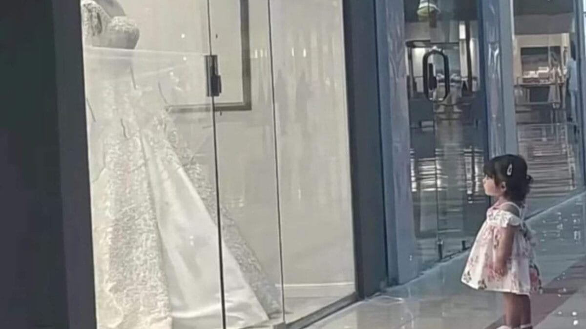 Toddler admiring wedding dress