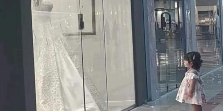 Toddler admiring wedding dress