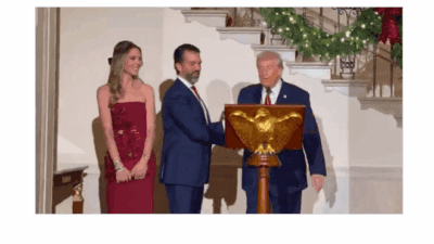 Trump jnr wife