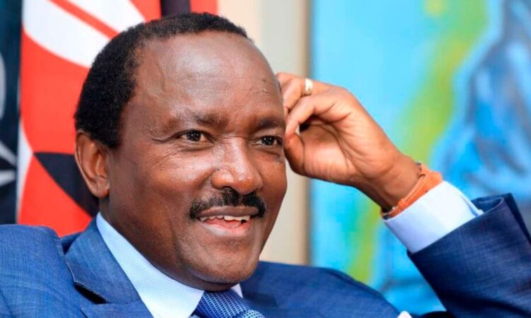 Vp kalonzo musyoka