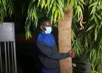 James Irungu