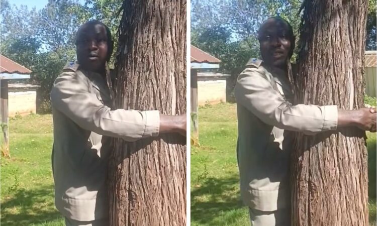 Police intervene to stop Sossiot OCS Kennedy Wanja