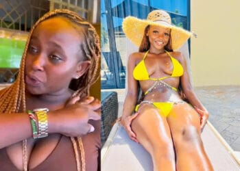 Marion naipei alcia kanini