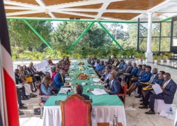 Ruto uda executive committee