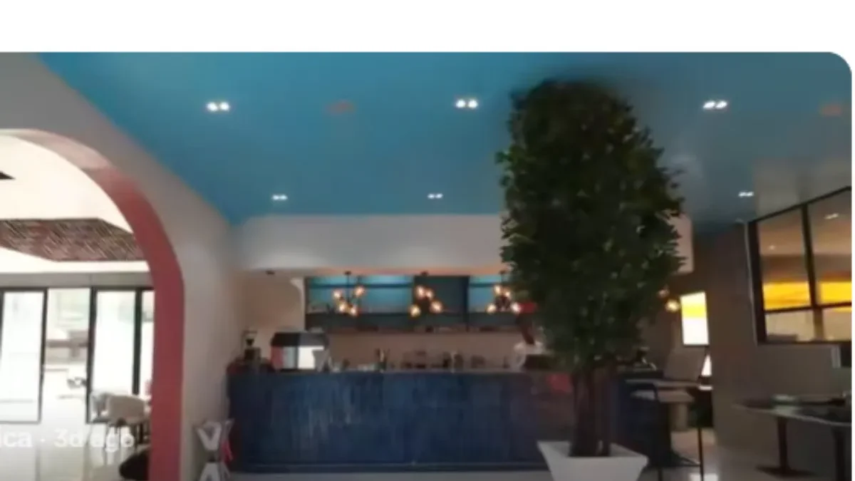 Somerica restaurant