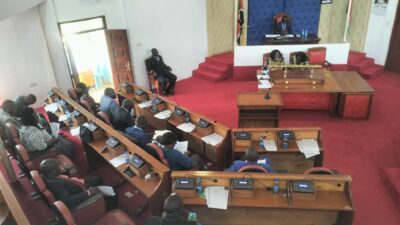 Vihiga county assembly