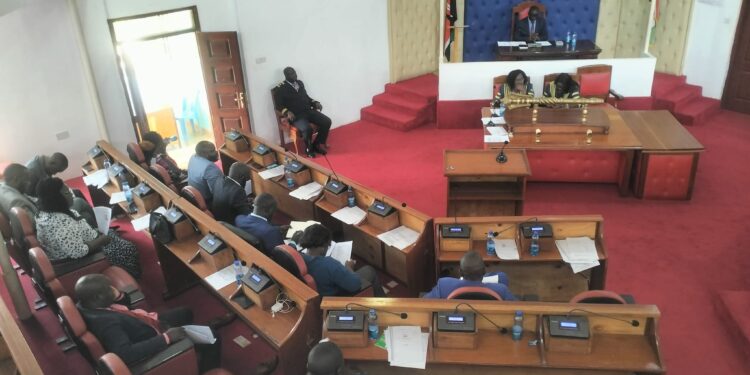 Vihiga county assembly