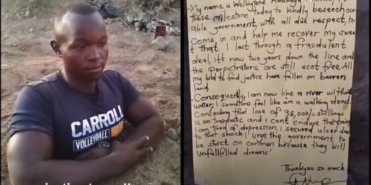 Wellingtone amuhaya photo