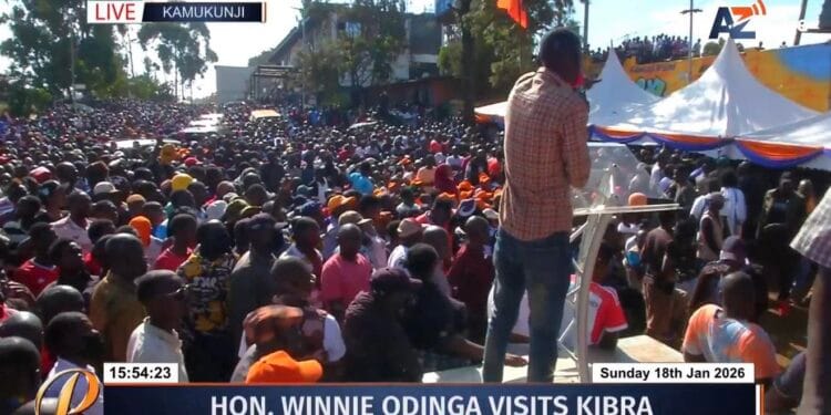 Winnie odinga raila junior rally photo
