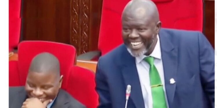 Bakari Mohamed Shingo