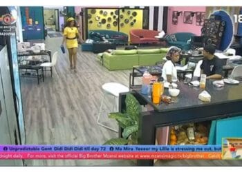 Big Brother Mzansi Roulette Twist