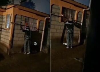 Police Officer Fires Shots