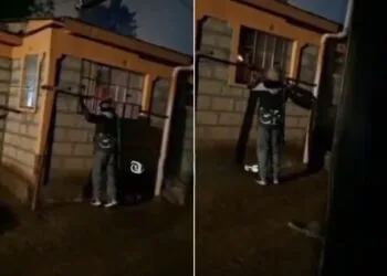 Police Officer Fires Shots