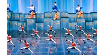 Unitree robots kung fu