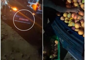 Mango selling diplomat car