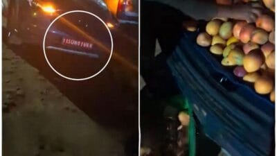 Mango selling diplomat car
