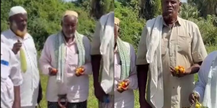 North eastern bumper harvest