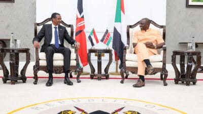 Ruto and rsf