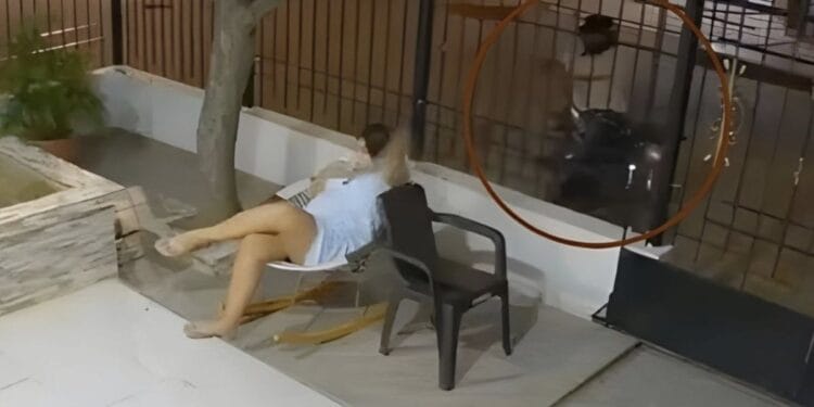 Catherine Paola Torres Barros, a 27 year old psychologist eight months pregnant