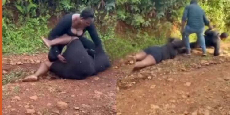 Cindy And Jennifer Clash Live Over TikTok Row