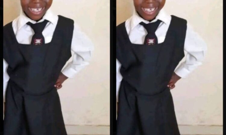 Imibongo Ntamehlo