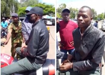 Elvis on claire acid