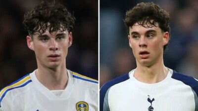 Gray leeds
