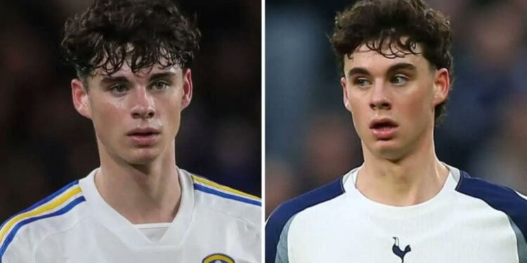Gray leeds