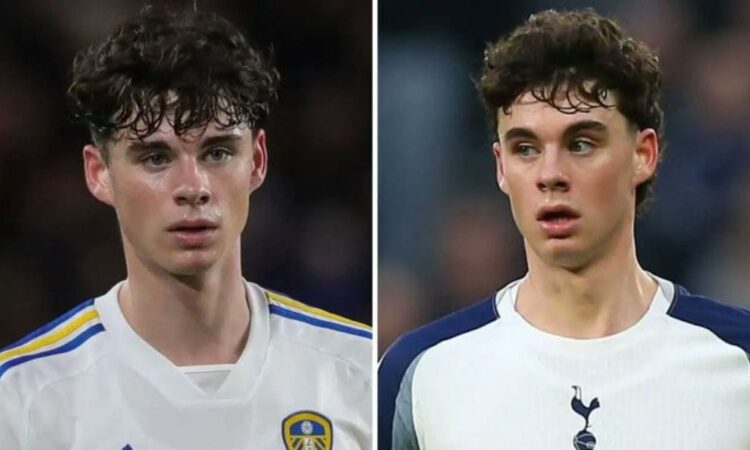 Gray leeds