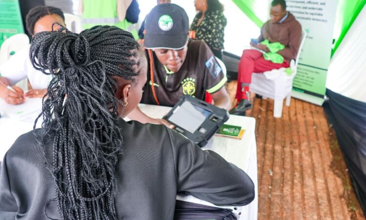 Iebc youth registration