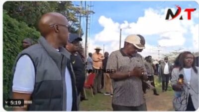 Jimi wanga tuju