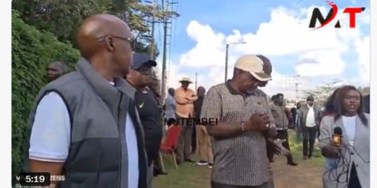 Jimi wanga tuju