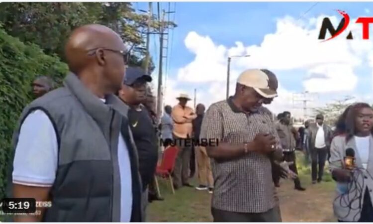 Jimi wanga tuju