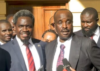 Nelson havi and danstan omar photo