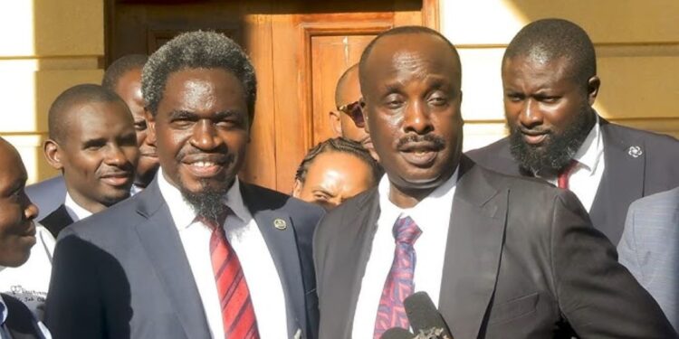 Nelson havi and danstan omar photo