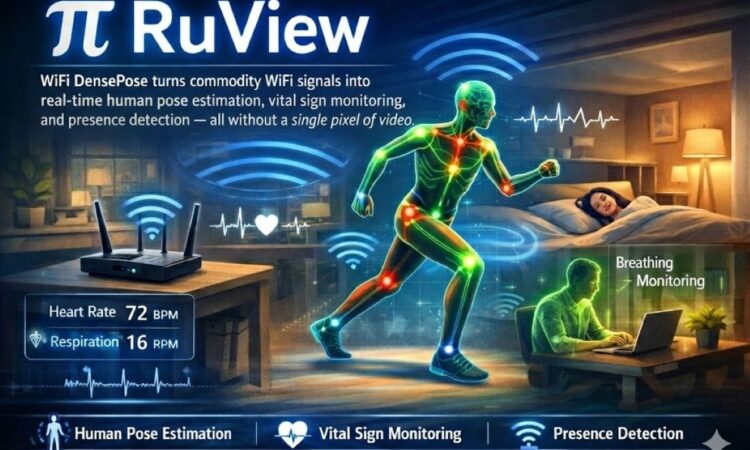 Ruview small gemini wifidense